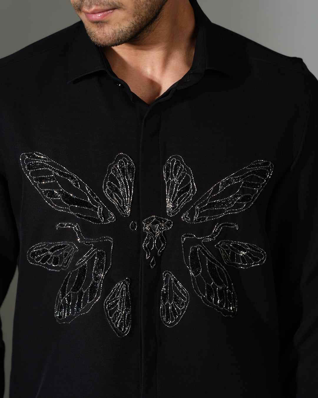 BLACK CLUSTER FLY