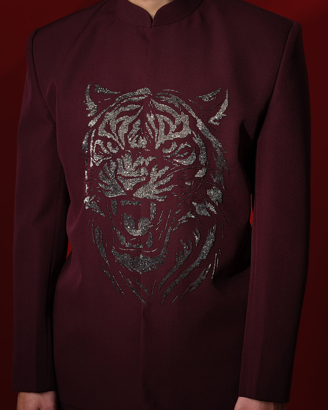 TIGRIS BANDHGALA SET